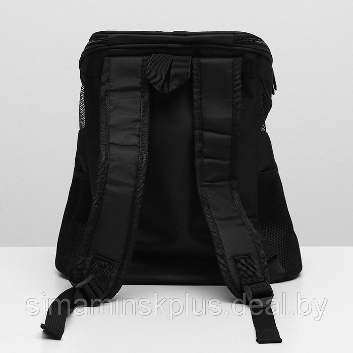 Рюкзак для переноски животных, 31,5 х 25 х 33 см, черный - фото 6 - id-p219643044