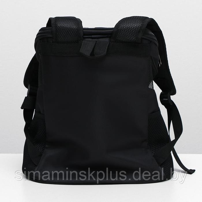 Рюкзак для переноски животных, 31,5 х 25 х 33 см, черный - фото 7 - id-p219643044