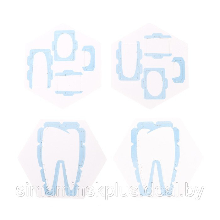 Набор для опытов «Зачем мы чистим зубы?» - фото 5 - id-p219644580