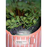 Искусственное растение в керамическом горшке «Папоротник курчавый», 12х12х48 см, фото 4