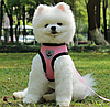 Шлейка прогулочная с поводком для собак и кошек мелких и средних пород Pet Leash / Размер XL, фото 7
