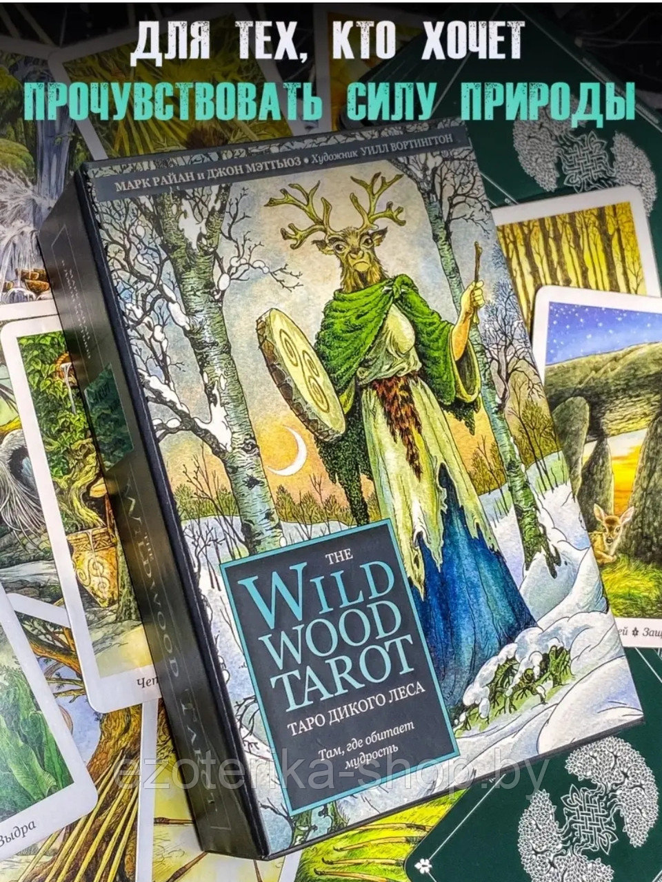 КАРТЫ ТАРО | Таро Дикого леса | The Wildwood Tarot | 78 карт+руководство в подарочном футляре - фото 2 - id-p166365417