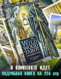 КАРТЫ ТАРО | Таро Дикого леса | The Wildwood Tarot | 78 карт+руководство в подарочном футляре, фото 4