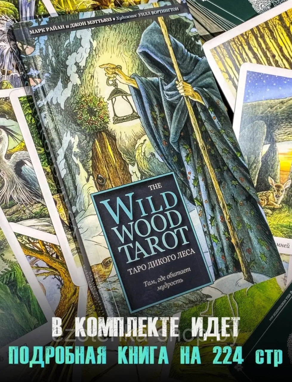 КАРТЫ ТАРО | Таро Дикого леса | The Wildwood Tarot | 78 карт+руководство в подарочном футляре - фото 4 - id-p166365417