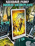 КАРТЫ ТАРО | Таро Дикого леса | The Wildwood Tarot | 78 карт+руководство в подарочном футляре, фото 5