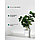Искусственное растение в керамическом горшке «Мини дерево», 13.5х13.5х61 см, фото 4