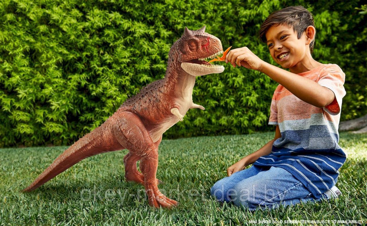 Фигурка динозавра Mattel Jurassic World Гигантский Карнотавр Торо, HBY86 - фото 9 - id-p181226102