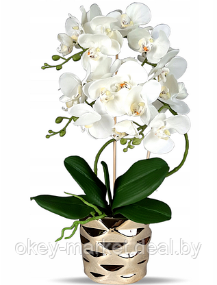 Цветочная композиция из орхидей в горшке B073, фото 3