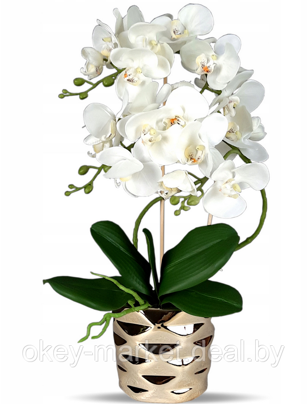 Цветочная композиция из орхидей в горшке B073 - фото 3 - id-p219664190