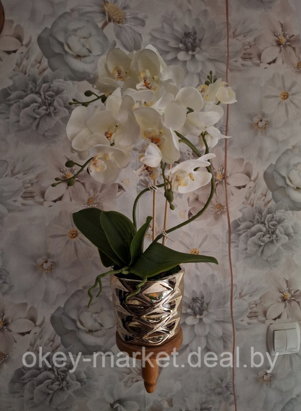 Цветочная композиция из орхидей в горшке B073 - фото 6 - id-p219664190