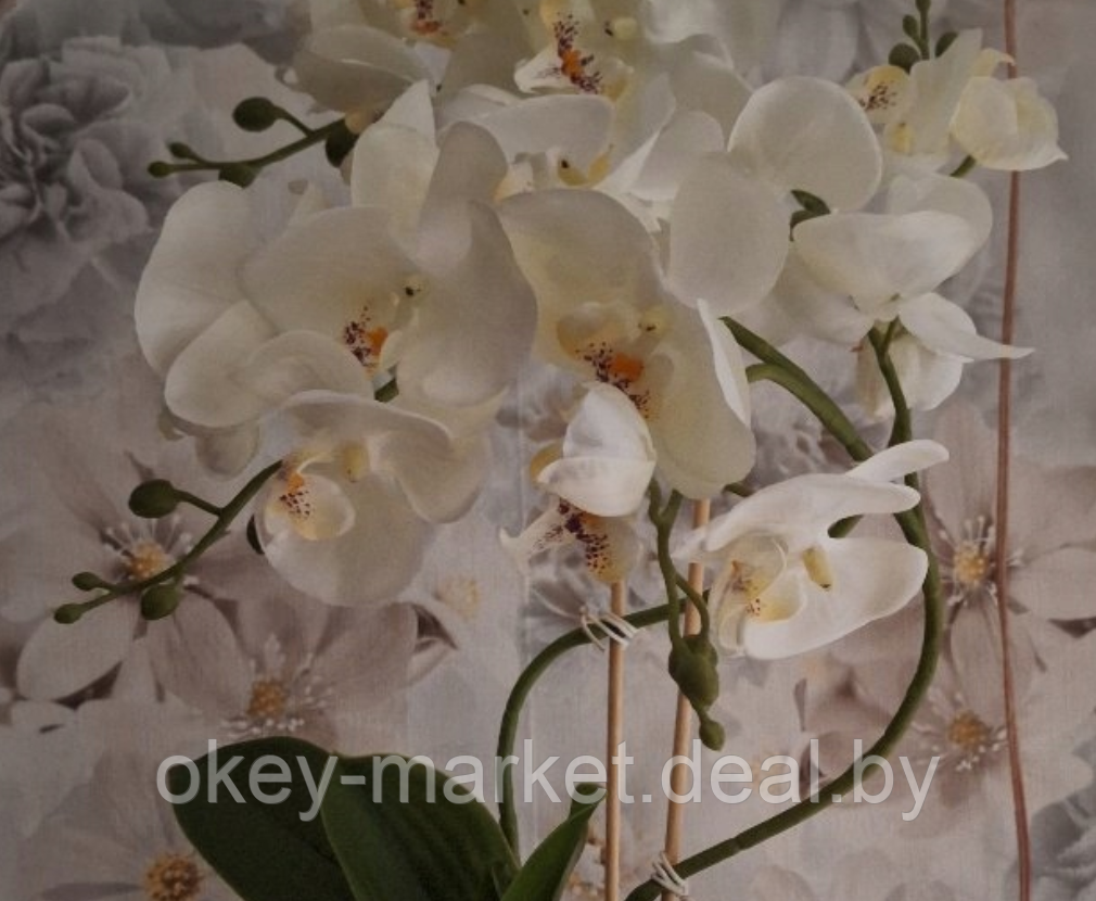 Цветочная композиция из орхидей в горшке B073 - фото 8 - id-p219664190
