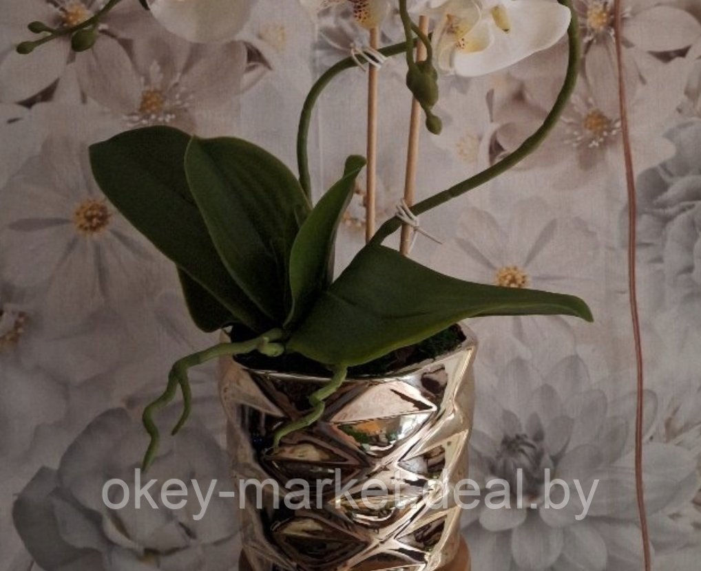Цветочная композиция из орхидей в горшке B073 - фото 9 - id-p219664190