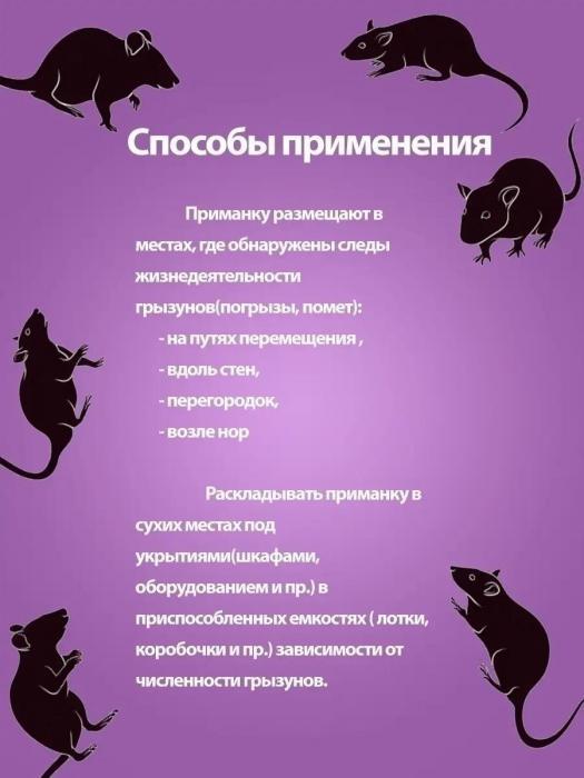 Отрава для мышей и крыс средство от грызунов крысиный яд мышиная приманка в доме - фото 4 - id-p219679106