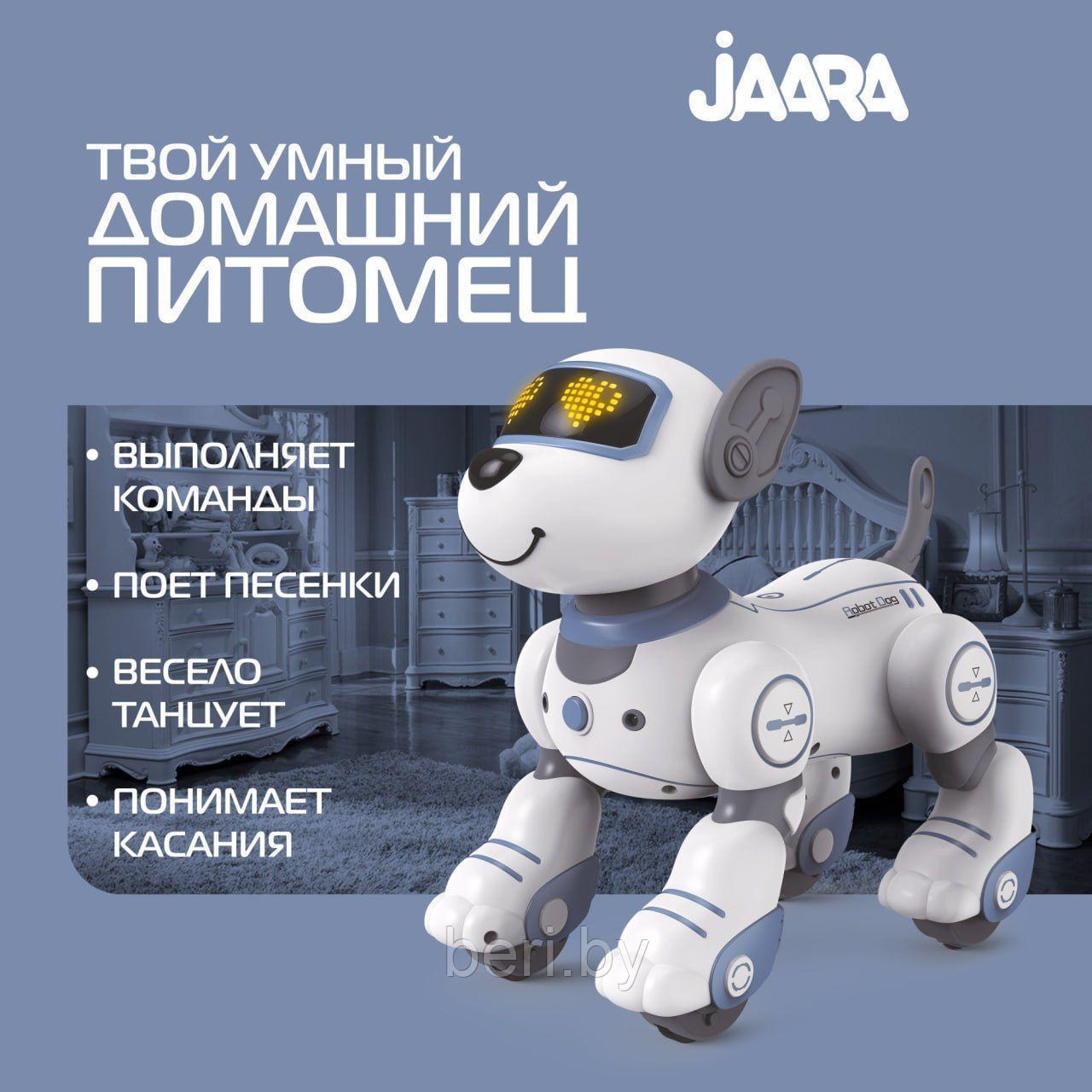 BG1533 Собака-робот щенок Дружок на пульте управления, интерактивная собака  (ID#219679391), цена: 139 руб., купить на Deal.by
