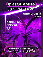 Фитолампа-светильник для растений полного спектра (1 лампа)