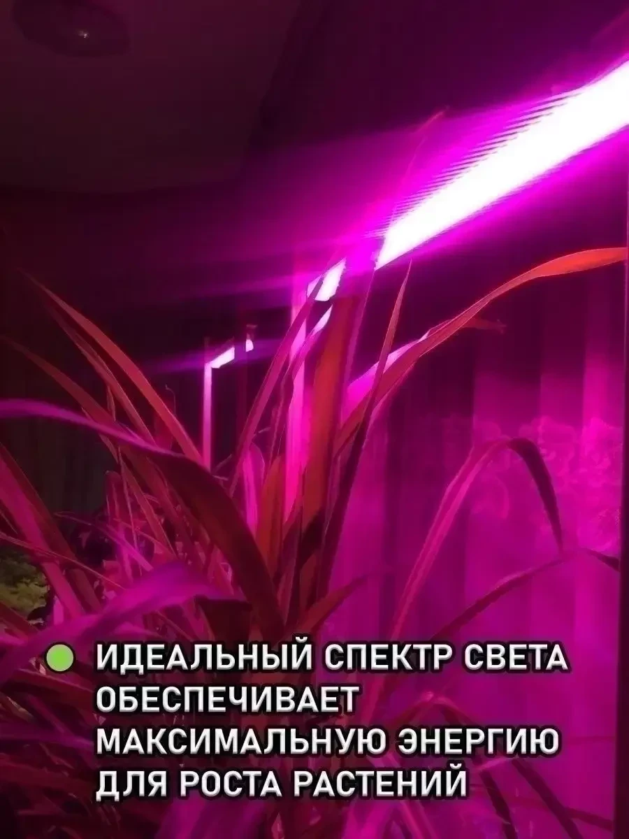 Фитолампа-светильник для растений полного спектра (1 лампа) - фото 7 - id-p219684721