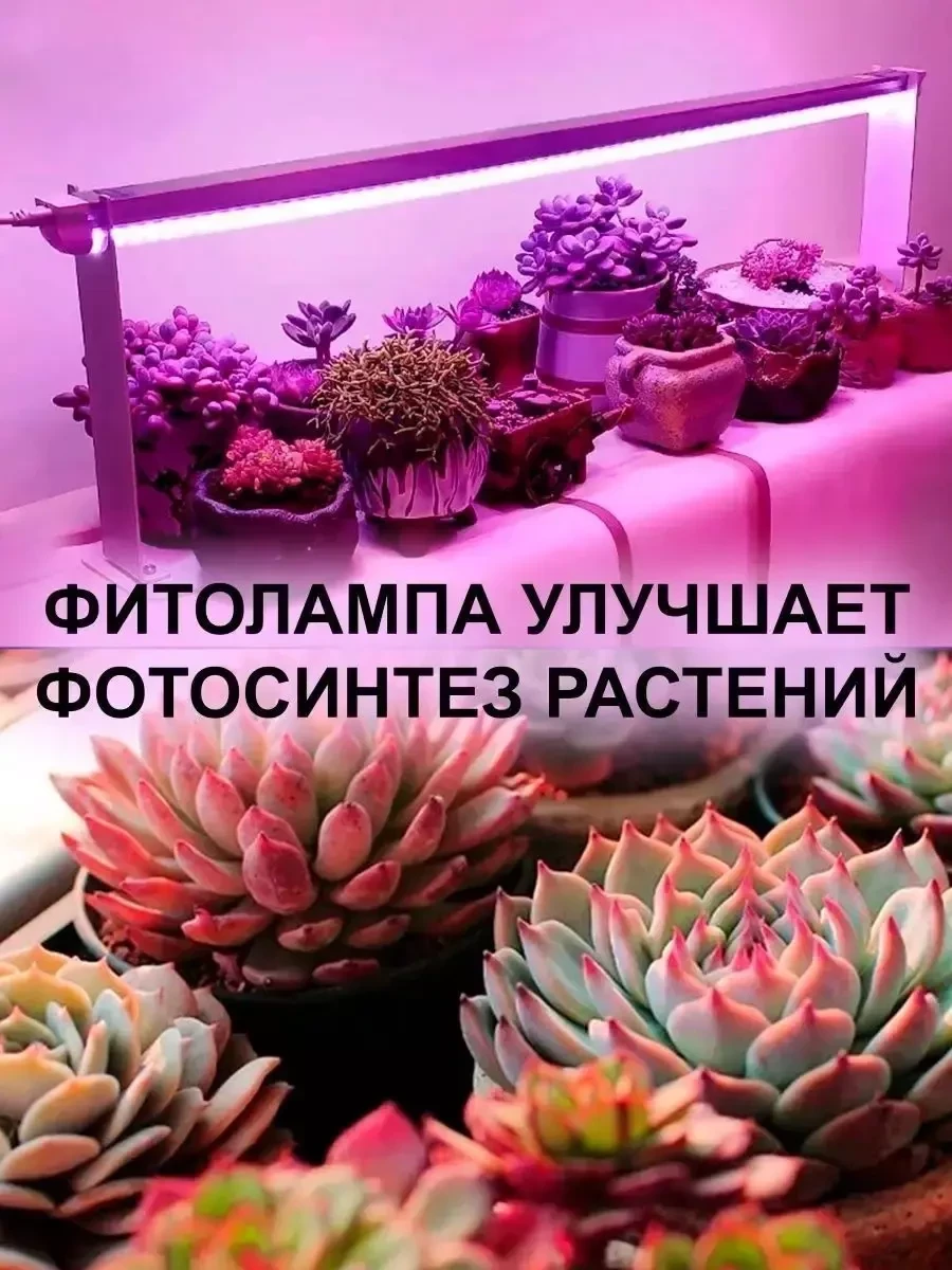 Фитолампа-светильник для растений полного спектра (1 лампа) - фото 10 - id-p219684721