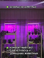 Фитолампа-светильник для растений полного спектра (2 лампы), фото 3