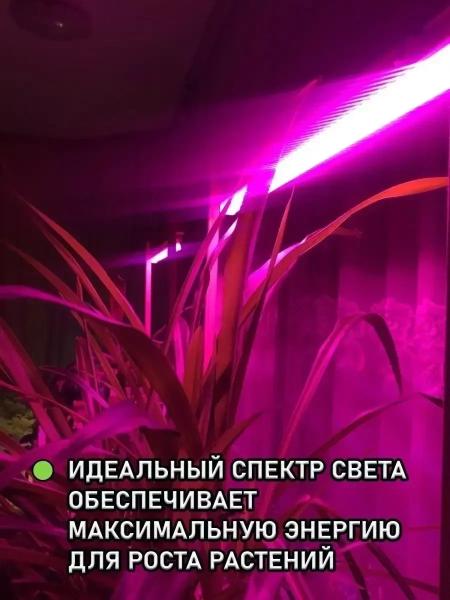Фитолампа-светильник для растений полного спектра (2 лампы) - фото 9 - id-p219684723