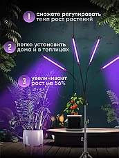 Фитолампа напольная для растений на штативе с пультом (4 лепестка), фото 2