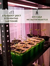 Фитолампа для растений и рассады полного спектра (розовое свечение), фото 3