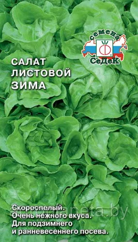 Салат Зима листовой 0,5г Седек