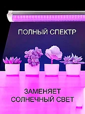 Фитолампа-светильник для растений полного спектра (1 лампа), фото 3