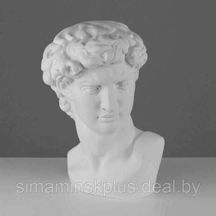 Гипсовая фигура Давида Микеланджело, 30 х 28 х 46 см