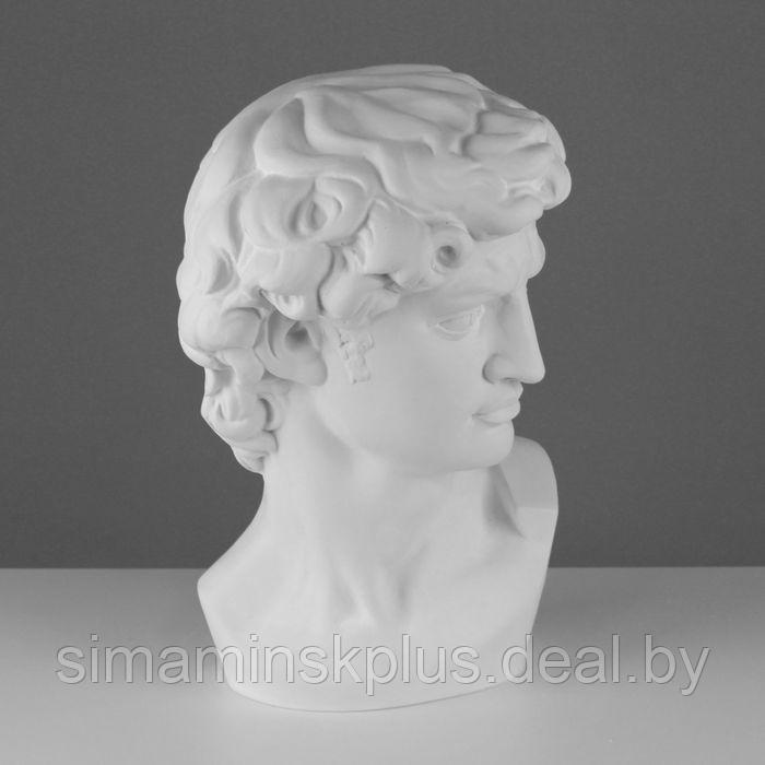 Гипсовая фигура Давида Микеланджело, 30 х 28 х 46 см - фото 2 - id-p219690156