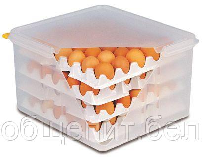 APS (Германия) Контейнер для хранения яиц 35,4*32,5 см. h= 20 см. 8 лотков с крышкой APS /1/ - фото 1 - id-p219695115