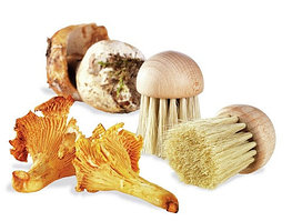 Tellier (Франция) Щетка для чистки грибов d=4 см. щетина h=3,5 см. деревянная Tellier /1/