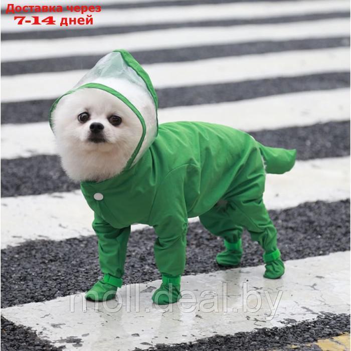 Комбинезон для собак, демисезонный с чехлами на лапы, размер М (ДС 40, Ог 32), зелёный - фото 1 - id-p217517758