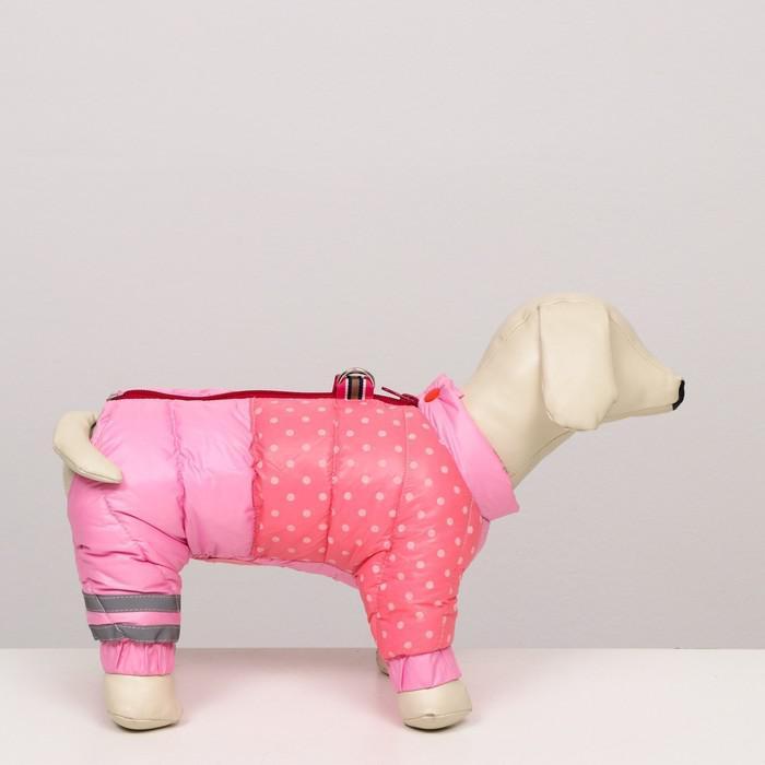 Комбинезон для собак "Горошек", размер 16 (ДС 28 см, ОГ 44 см, ОШ 34 см), розовый - фото 2 - id-p219627554
