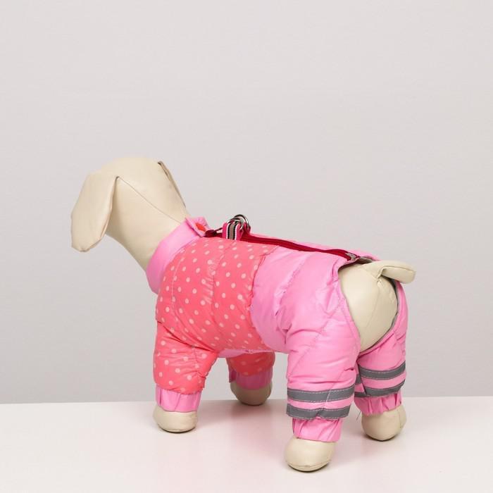 Комбинезон для собак "Горошек", размер 16 (ДС 28 см, ОГ 44 см, ОШ 34 см), розовый - фото 3 - id-p219627554