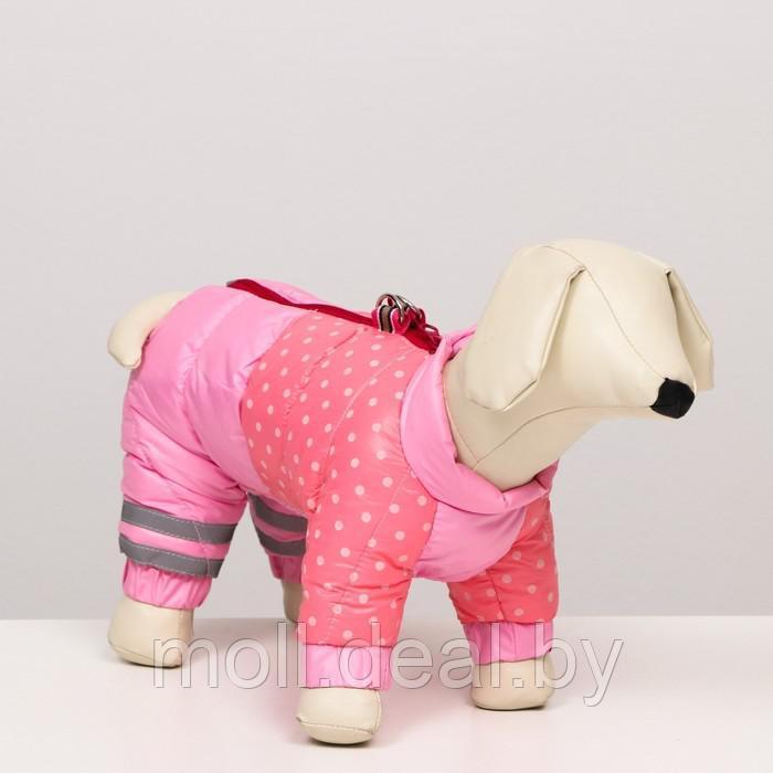 Комбинезон для собак "Горошек", размер 16 (ДС 28 см, ОГ 44 см, ОШ 34 см), розовый - фото 1 - id-p219627597