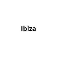 Подкрылки (локер) Seat Ibiza