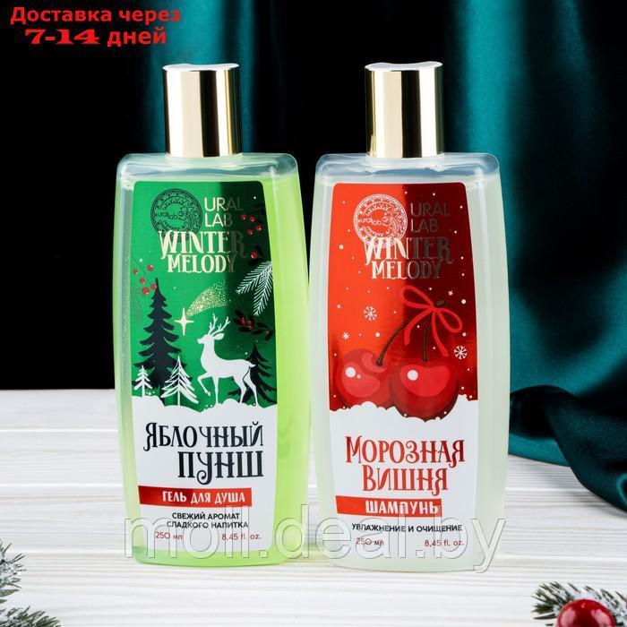 Winter Melody, набор "Чудесного года!", гель для душа, 250 мли шампунь для волос, 250 мл - фото 5 - id-p219685905