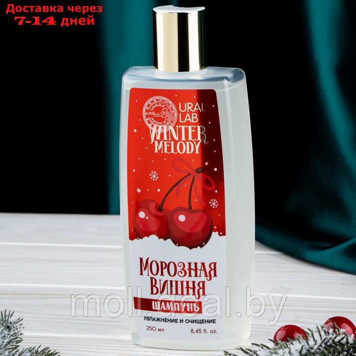 Winter Melody, набор "Чудесного года!", гель для душа, 250 мли шампунь для волос, 250 мл - фото 9 - id-p219685905