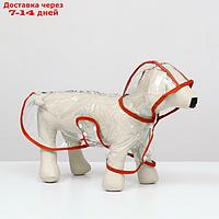 Дождевик для собак, размер M (ДС 26, ОГ 38-41, ОШ 40 см), красный