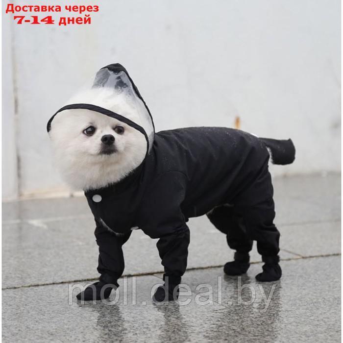 Комбинезон для собак, демисезонный с чехлами на лапы, размер XL (ДС 50, Ог 42), чёрный - фото 1 - id-p219684006