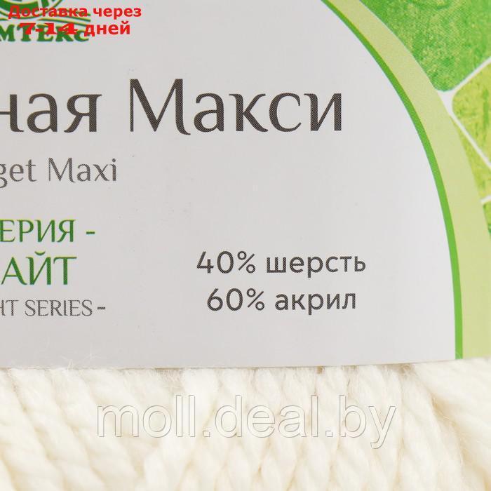 Пряжа "Бюджетная Макси" 40% шерсть, 60% акрил 140м/150гр (белый - 205) - фото 4 - id-p219686129