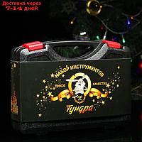 Набор инструментов в кейсе ТУНДРА, подарочная упаковка к Новому году, 7 предметов