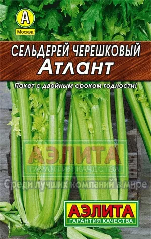Сельдерей листовой Атлант 0,5г Аэлита