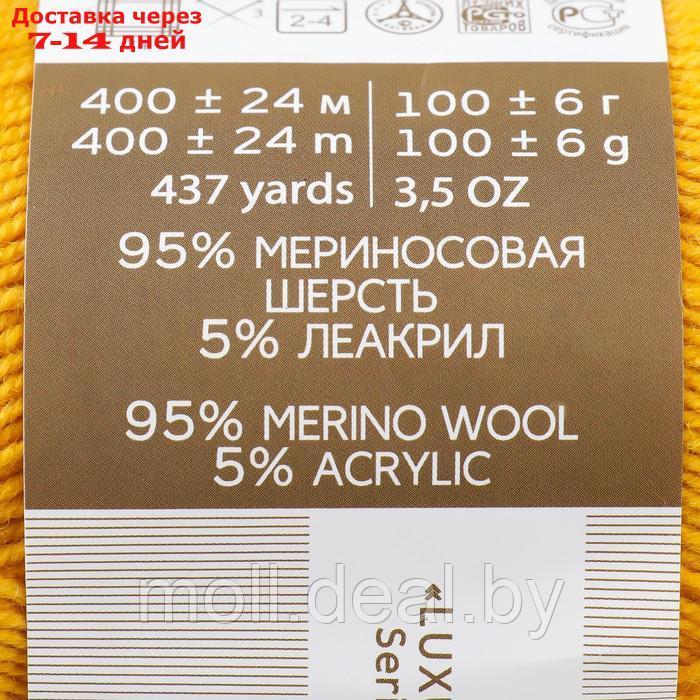 Пряжа "Австралийский меринос" 95%меринос. шерсть,5% акрил объёмный 400м/100гр (340-Листопад) - фото 4 - id-p219683074