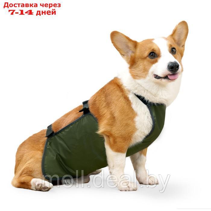 Нагрудник послеоперационный для собак весом 15-23 кг, размер XL (ОГ 50, ОТ 50 см), зеленый - фото 1 - id-p219687639