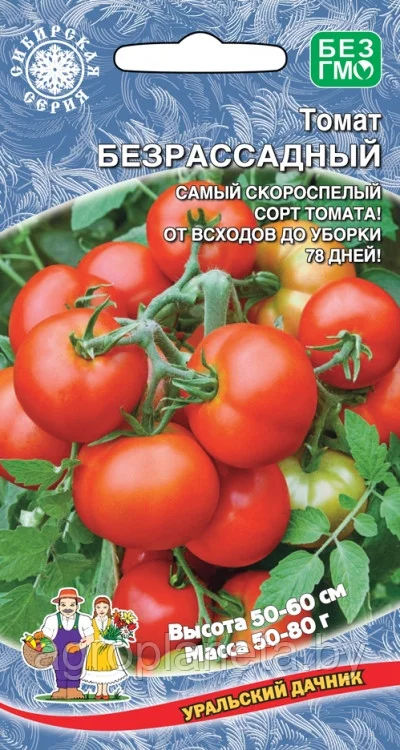 Томат Безрассадный 30шт Уральский Дачник