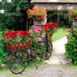 Велосипеды для цветов