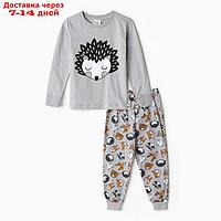 Пижама для мальчика А.ПДЭМ-008, цвет серый/ёжик, рост 116см