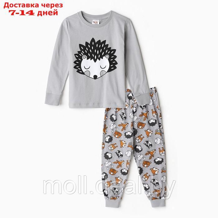 Пижама для мальчика А.ПДЭМ-008, цвет серый/ёжик, рост 116см - фото 1 - id-p219686804