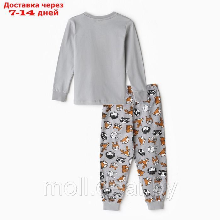Пижама для мальчика А.ПДЭМ-008, цвет серый/ёжик, рост 116см - фото 4 - id-p219686804